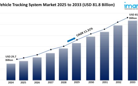 Vehicle Tracking System Market Analysis, Growth, and Forecast 2025-2033