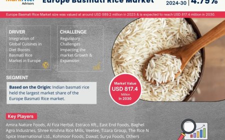 Europe Basmati Rice Market Size & Forecast 2024–2030: Trends and Growth Insights