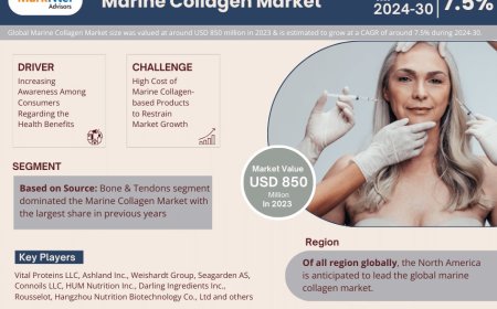 Marine Collagen Market Size & Forecast 2024–2030: Trends and Growth Insights