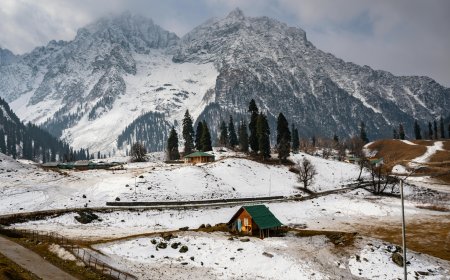 Chandigarh to kalpa Kaza taxi