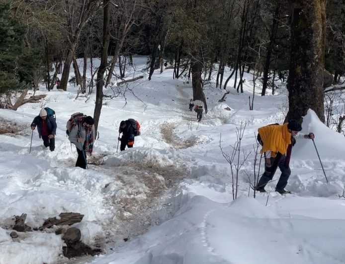 Kedarkantha Trek Guide (2025): Easy, Snowy & Unforgettable