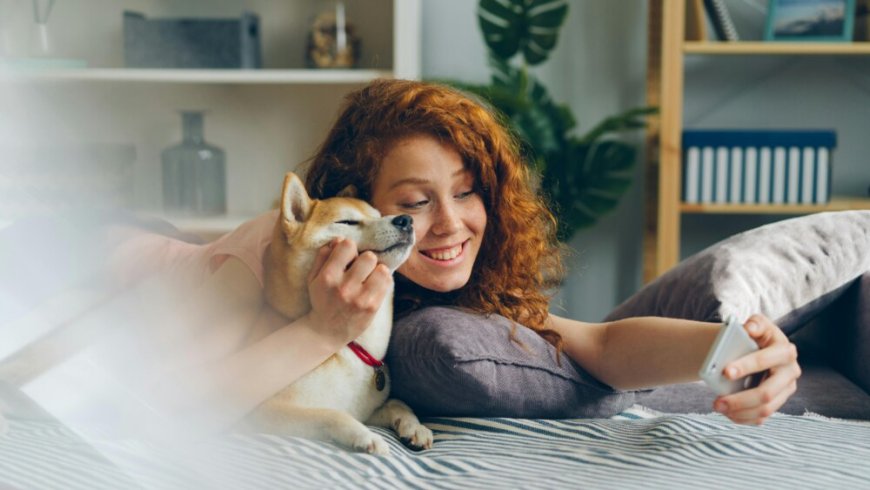 Step Into the World of Colour Trading Game Fun Now