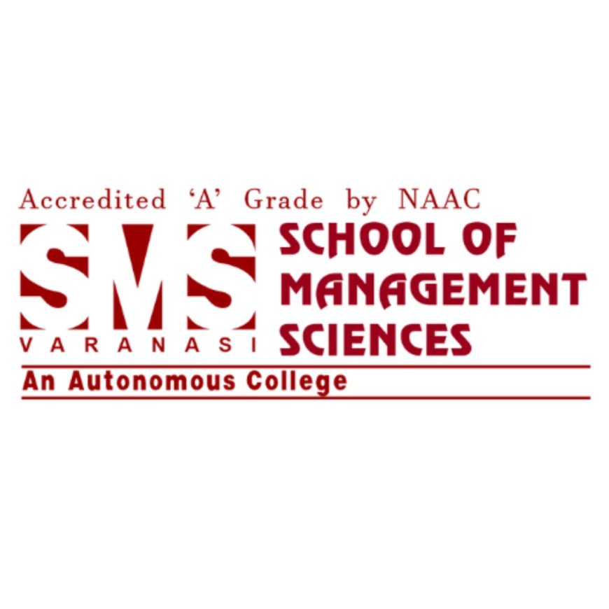 Executive MBA vs Regular MBA: Online vs On-Campus Options