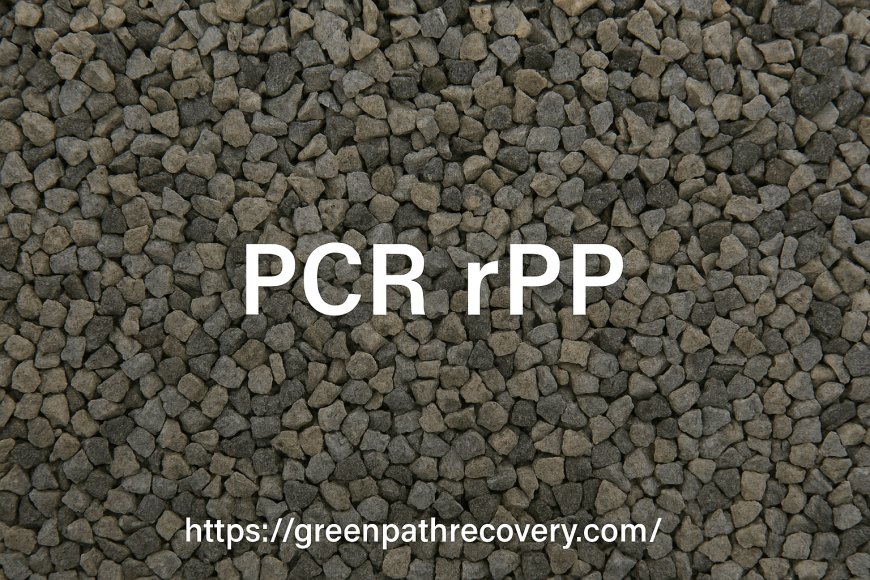 PCR rPP: Understanding PCR rPP Sustainability & Recycling