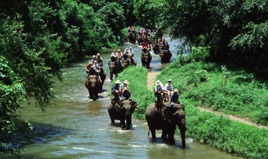 Explore Wildlife and Nature with a Simlipal Tour Package