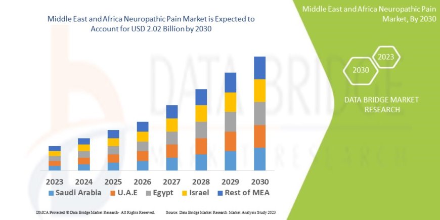 Rising Chronic Illness Cases Propel Middle East and Africa Neuropathic Pain Market