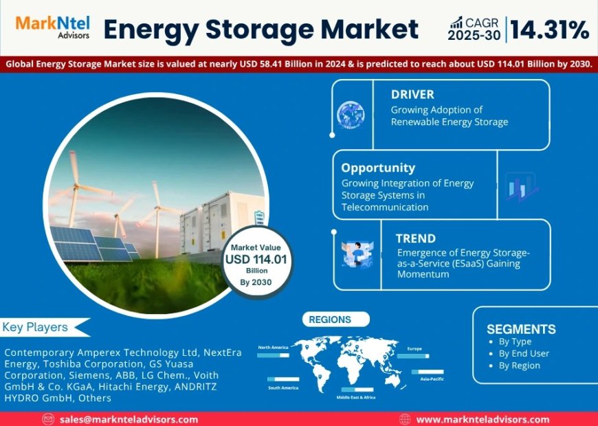 Energy Storage Market Size & Forecast 2025–2030: Trends and Growth Insights