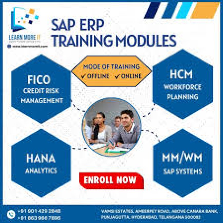 S.A.P institute in Ameerpet