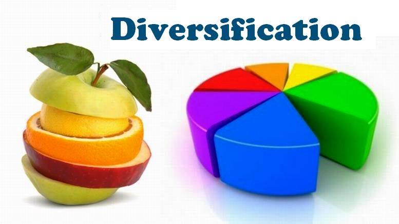 Investment Diversification Key to Financial Success